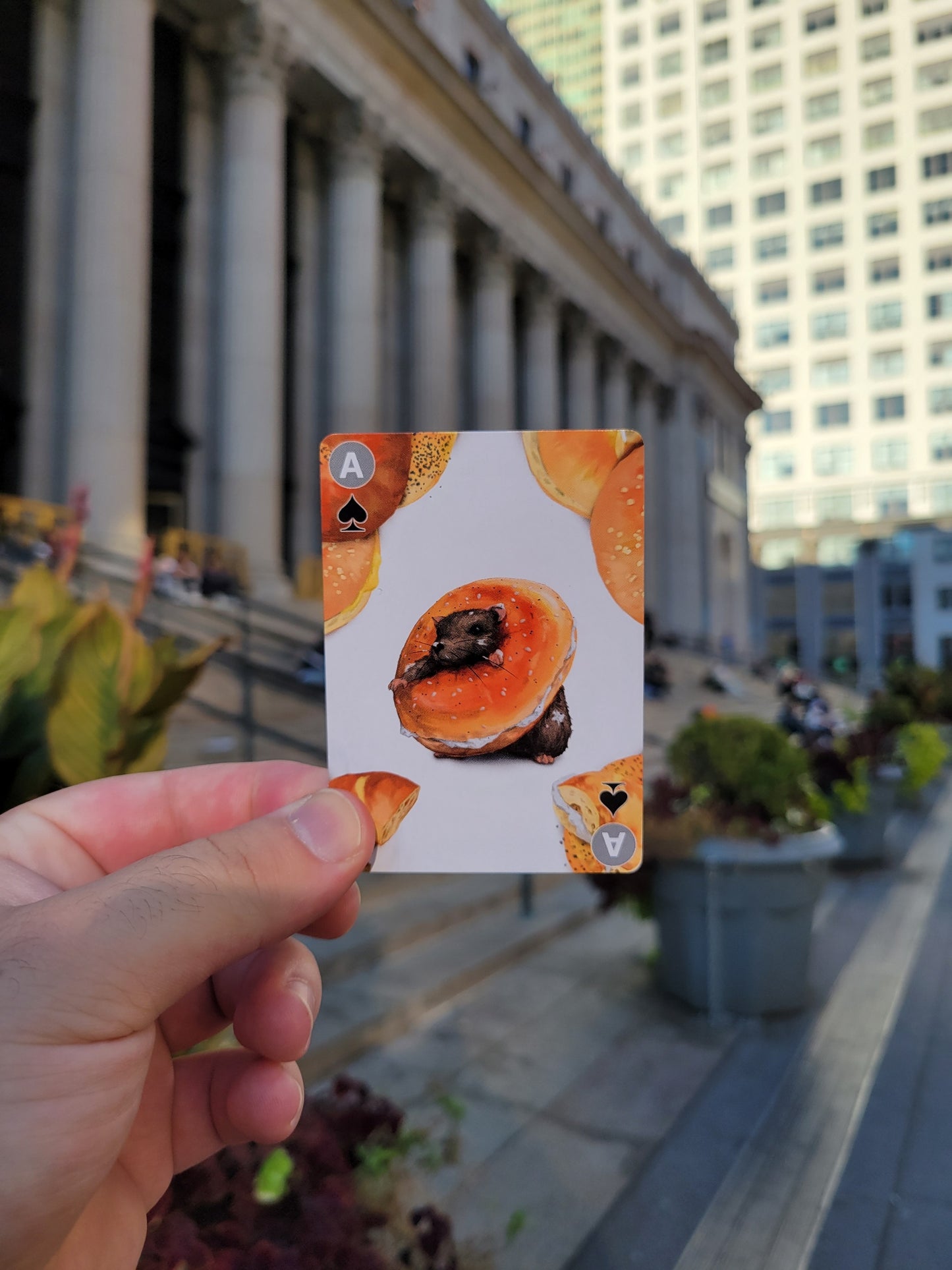 Deck of rat cards