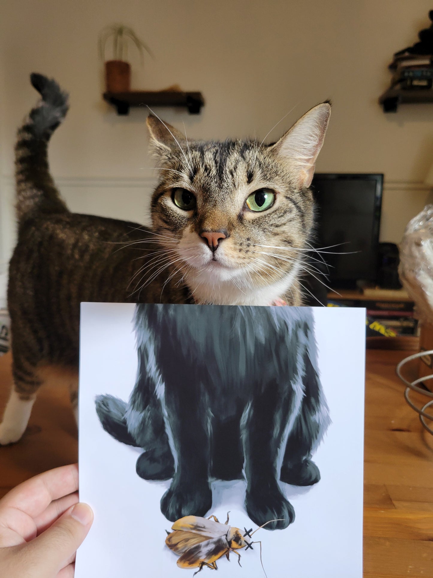 A gift? | Print