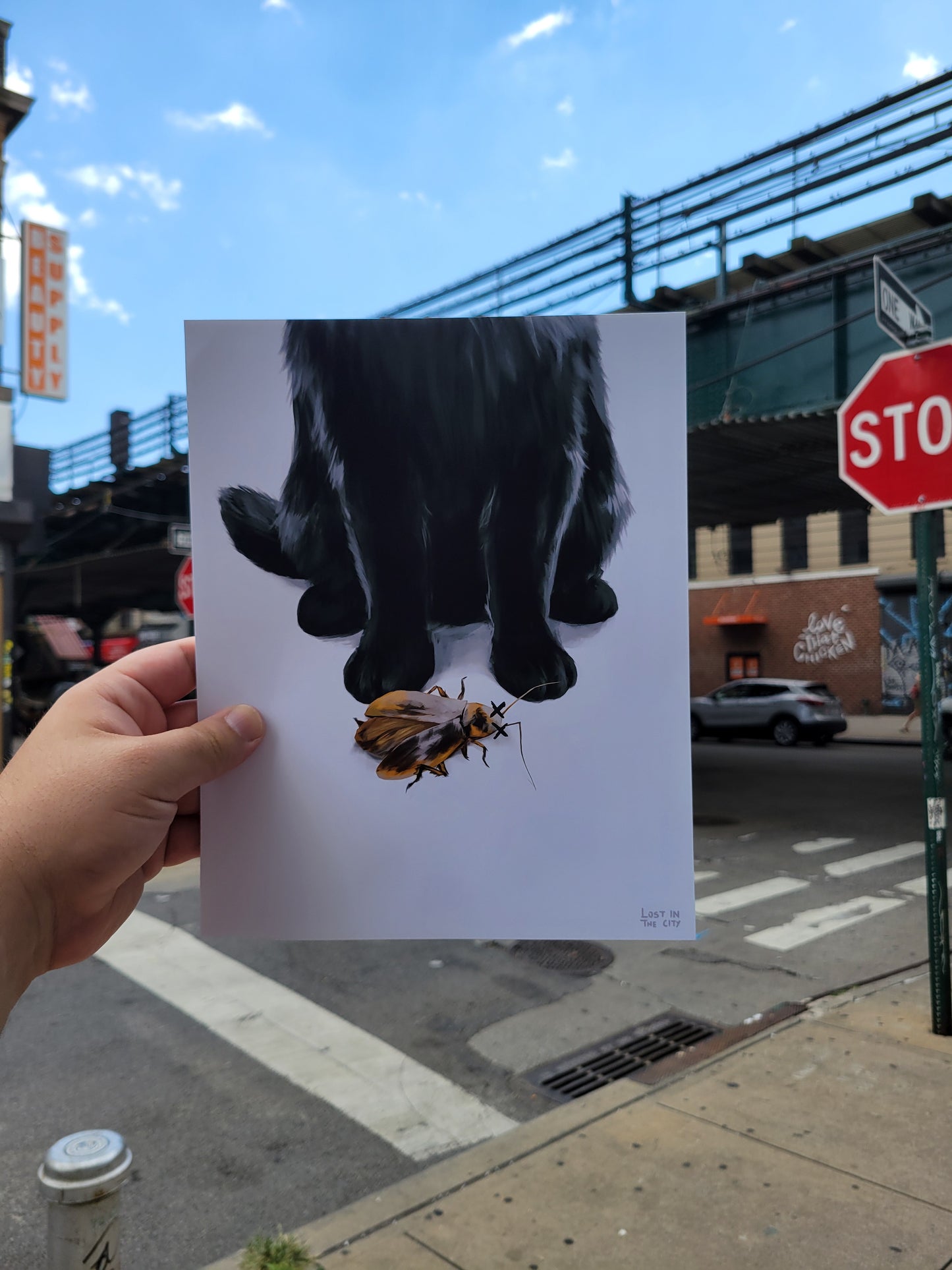 A gift? | Print