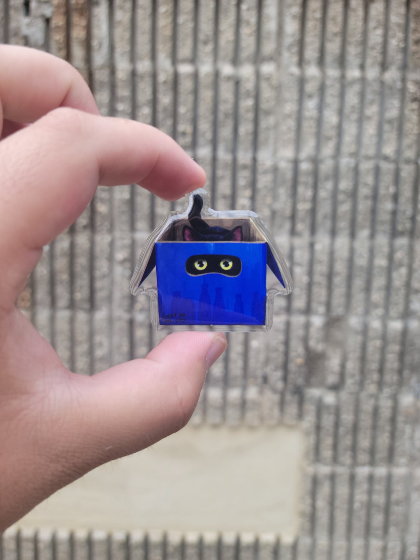 Bodega Cat in a Box Acrylic Pin