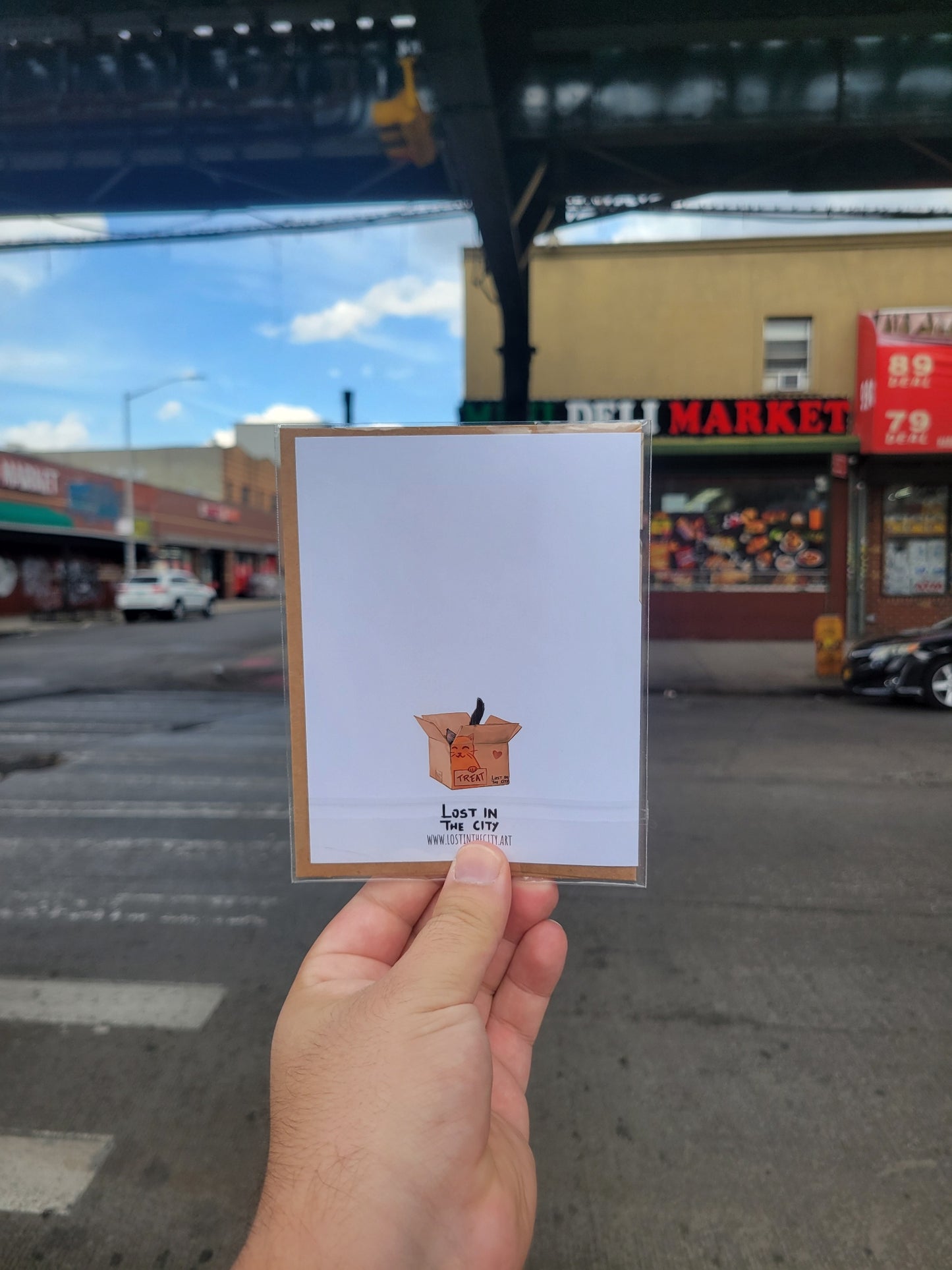 Sorry! | Cat Greeting Card