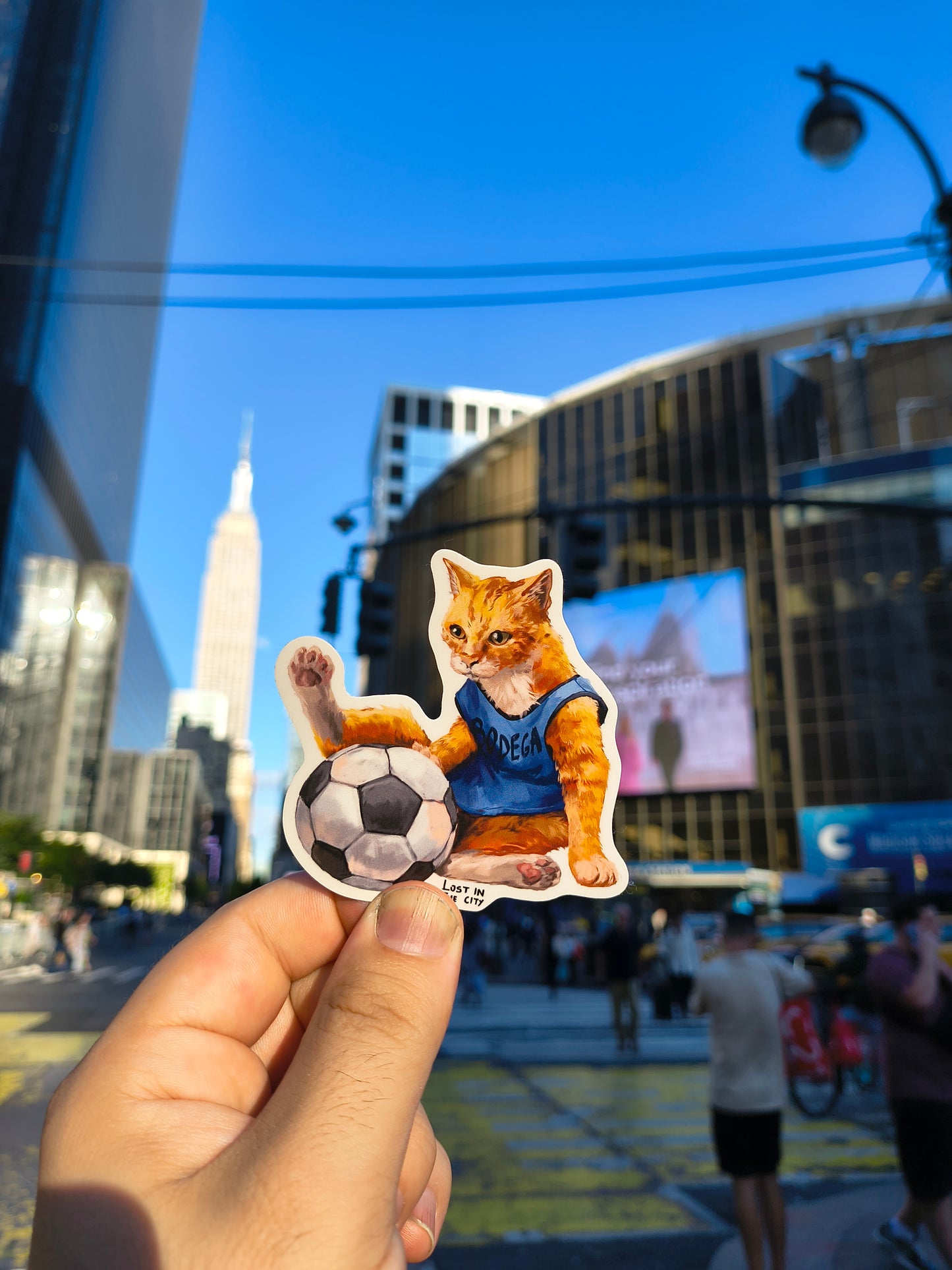 Rat and Cat Soccer Stickers