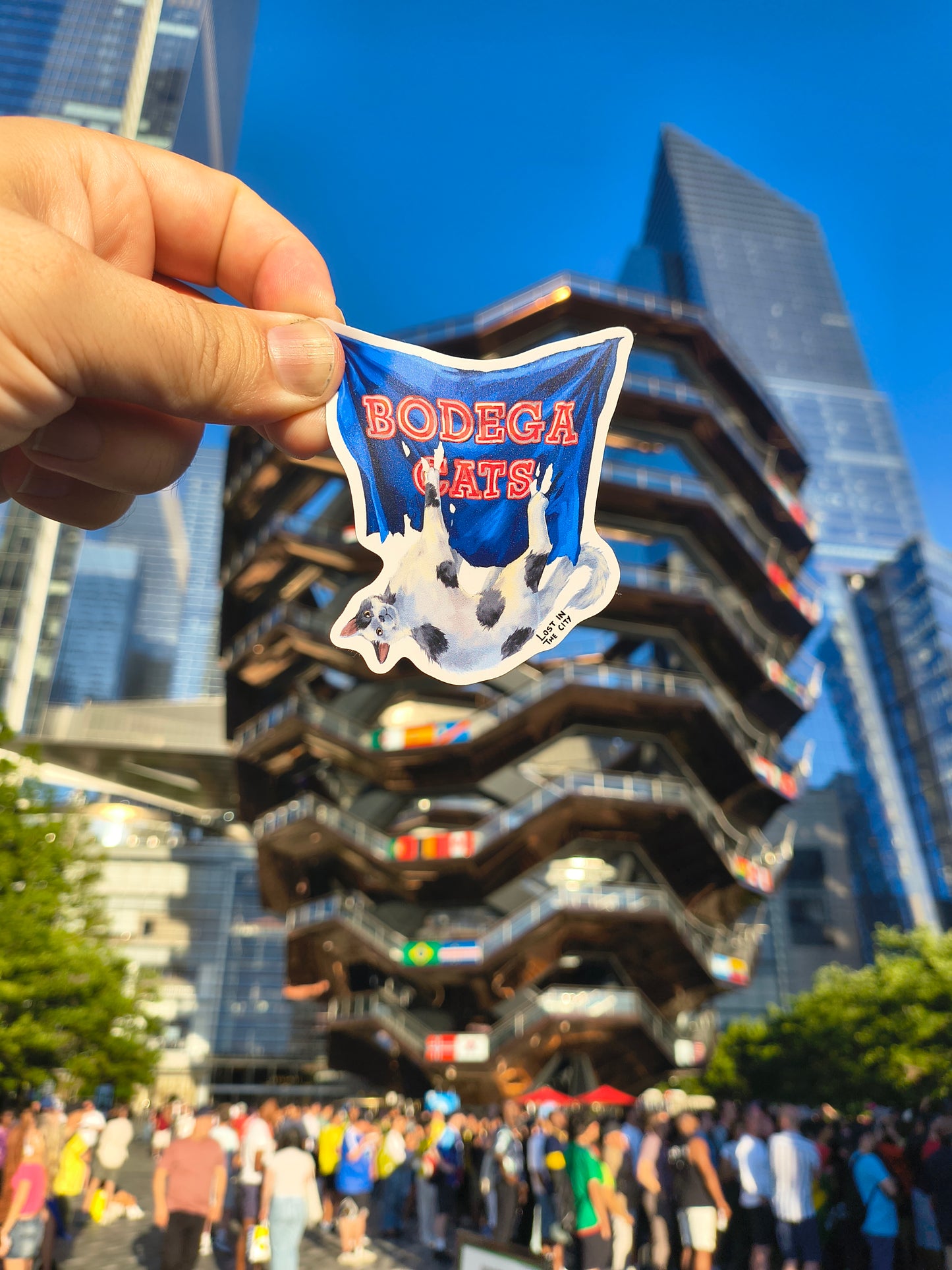 Rat and Cat Soccer Stickers