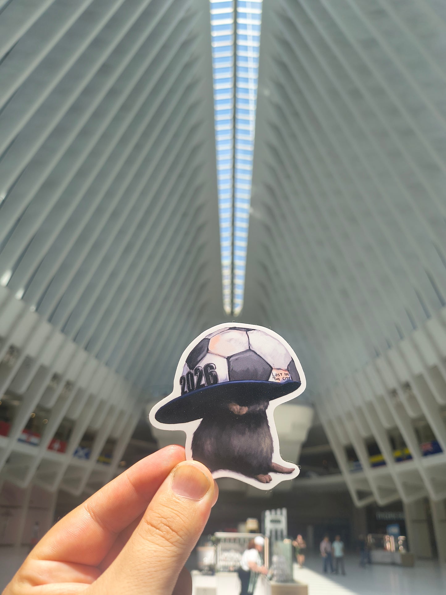 Rat and Cat Soccer Stickers